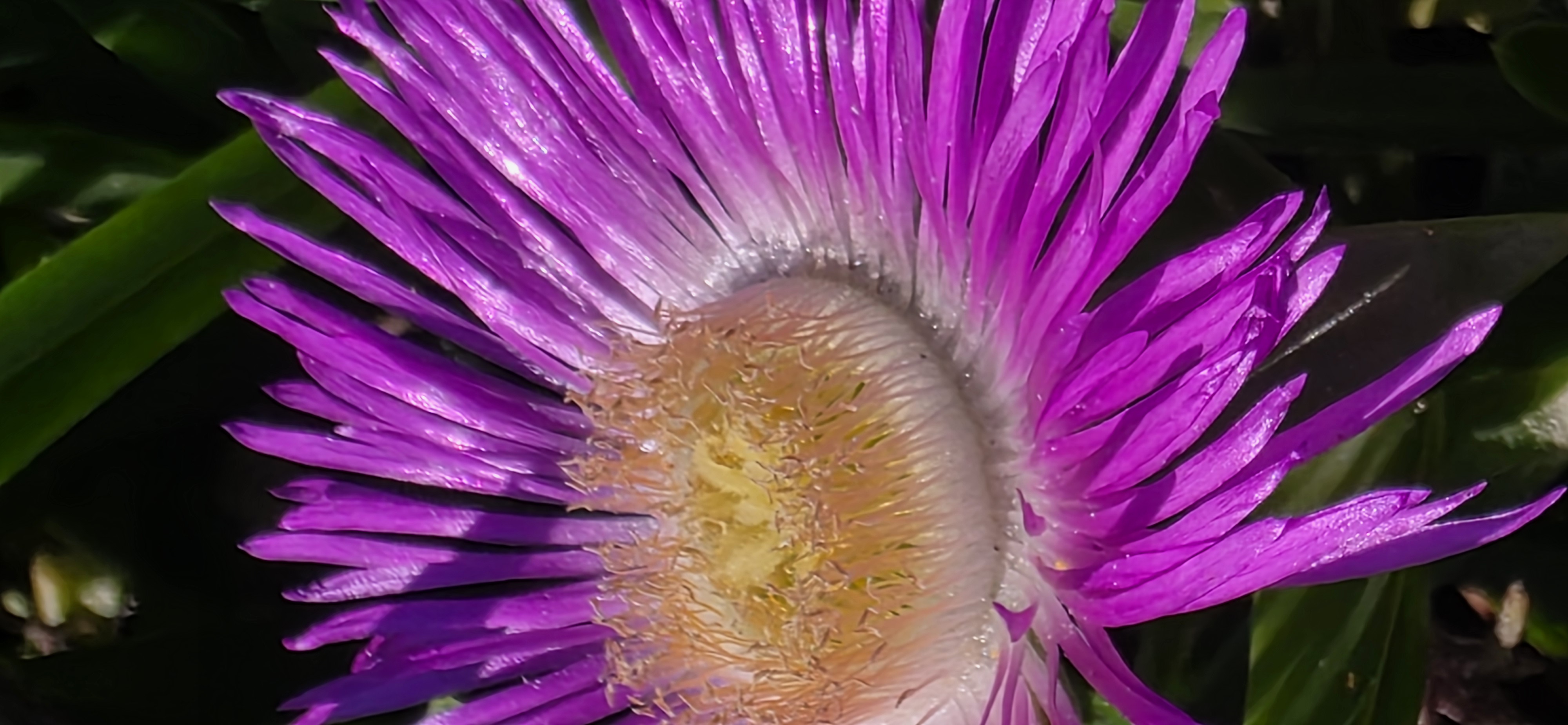 Clandestina Restaurante